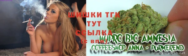 Альфа ПВП Горнозаводск