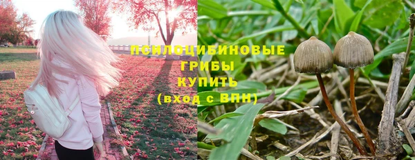 прущий лед Горняк
