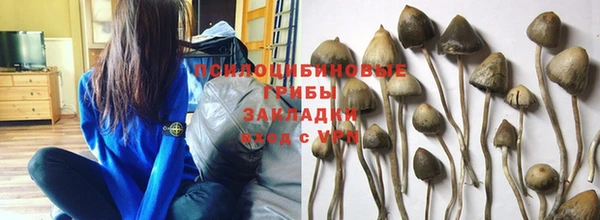 Альфа ПВП Горнозаводск