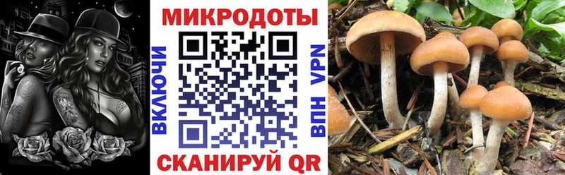 Галлюциногенные грибы ЛСД  Обь 